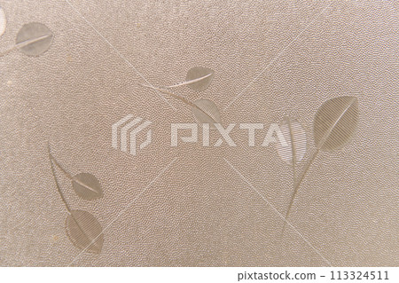 Nostalgic Showa-era frosted glass 113324511