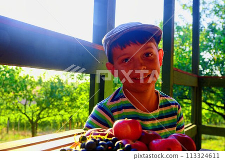 Little boy with fruit in the garden. Little smiling farmer boy wearing a flat cap and eating organic fruits, grapes, apples. The concept of harvest. Dreamy and romantic image. Autumn and happy Little boy with fruit in the garden. Little smiling farmer boy wearing a flat cap and eating organic fruits, grapes, apples. The concept of harvest. Dreamy and romantic image. Autumn and happy 113324611