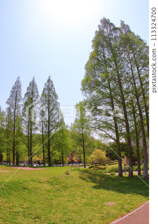 <Hyogo Prefecture> Kitakobe, Happy Village, fresh greenery 113324700