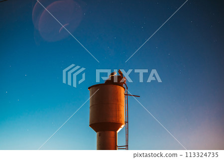 Storks Sit On A Water Tower. Night Clear Sky. Starry Sky At Night. Night Romance Concept. Family, Relationships. Two Adult European White Storks - Ciconia Ciconia Sit On A Water Tower. Belarusian 113324735