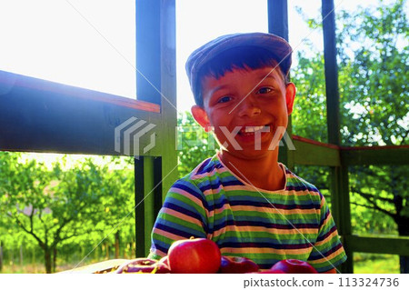 Little boy with fruit in the garden. Little smiling farmer boy wearing a flat cap and eating organic fruits, grapes, apples. The concept of harvest. Dreamy and romantic image. Autumn and happy 113324736