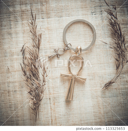 Egyptian Cross Ankh Egyptian Cross Ankh 113325653