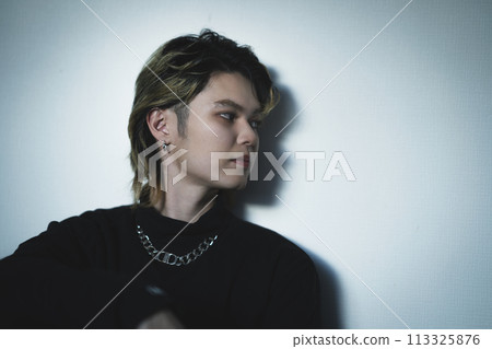 Men's makeup, beauty image, portrait of a man in his 20s 113325876