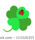 四葉三葉草和瓢蟲 113326355