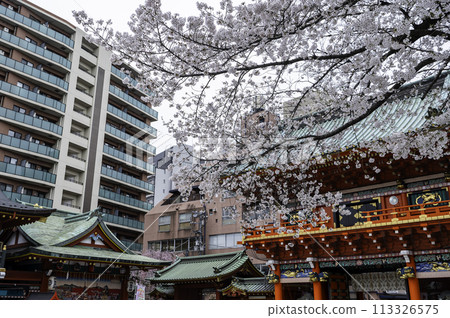 東京千代田區御茶水盛開的櫻花景觀 113326575