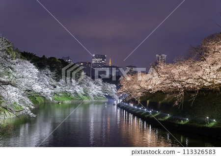 Night view of cherry blossoms blooming at Chidorigafuchi in Kudan, Chiyoda Ward, Tokyo 113326583