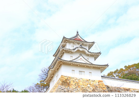 Akashi Castle, Akashi City, Hyogo Prefecture 113326829