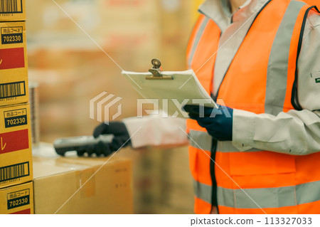 一名不露面的年輕女工在終端機上檢查庫存 一名不露面的年輕女工在終端機上檢查庫存 113327033