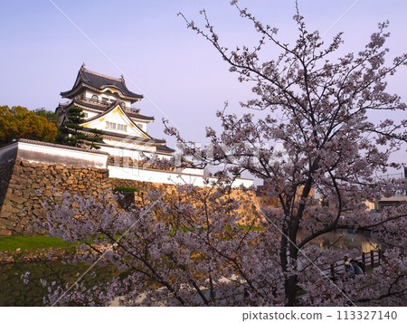 岸和田城堡和櫻花 113327140