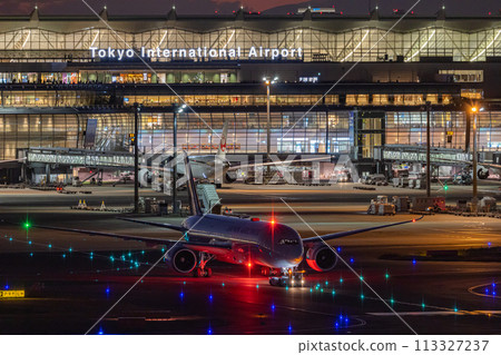 Haneda Airport at night, airport night view, passenger plane being towed, ANA Boeing 787 113327237