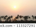 Sunset against the backdrop of palm trees 113327291
