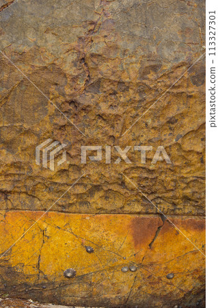 Texture of the sea stone Texture of the sea stone 113327301
