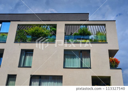 Modern architecture. Urban terrace with flowers and greenery. Urban house Modern architecture. Urban terrace with flowers and greenery. Urban house 113327540