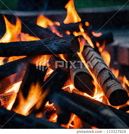 Bonfire at the campsite 113327828