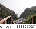 黑岩灘水仙村 水仙 113328025