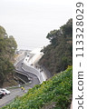 黑岩灘水仙村 水仙 113328029