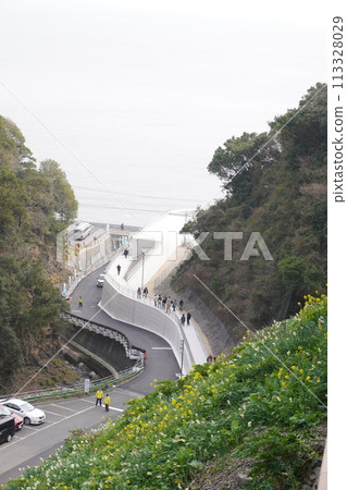 黑岩灘水仙村 水仙 黑岩灘水仙村 水仙 113328029