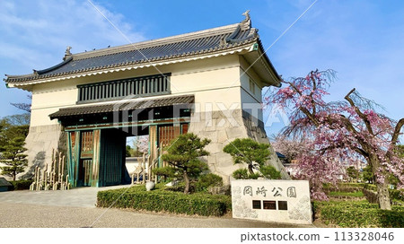 藍天和盛開的櫻花映襯下的岡崎城大手門（岡崎城公園/愛知縣岡崎市） 113328046