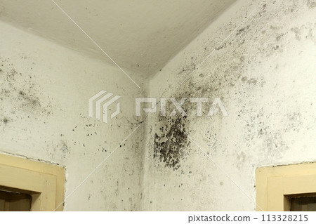 Black mould and fungus in the corner near an old window. Black mould and fungus in the corner near an old window. 113328215