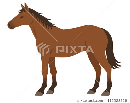 馬圖 馬圖 113328216