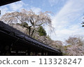 十輪寺成平櫻 113328247
