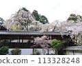 十輪寺成平櫻 113328248