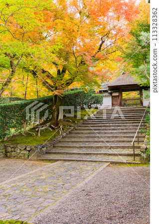Autumn leaves at the temple gate of Suirenzan Anrakuji Temple in Higashiyama, Sakyo Ward, Kyoto City Autumn leaves at the temple gate of Suirenzan Anrakuji Temple in Higashiyama, Sakyo Ward, Kyoto City 113328362