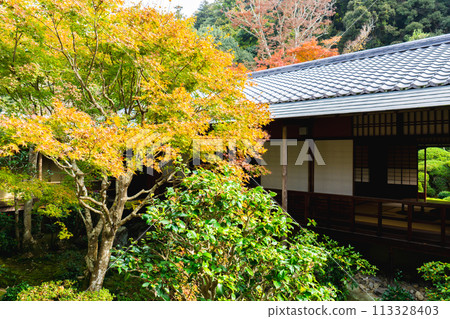 Kyoto City, Sakyo Ward, Higashiyama, Sumeranzan Anrakuji Temple, autumn leaves in the courtyard and Shoin 113328403