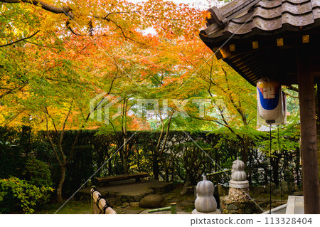 Kyoto City, Sakyo Ward, Higashiyama, Sumeranzan Anrakuji Temple, Kusa no Jizo Hall and autumn leaves Kyoto City, Sakyo Ward, Higashiyama, Sumeranzan Anrakuji Temple, Kusa no Jizo Hall and autumn leaves 113328404
