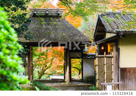 Kyoto City, Sakyo Ward, Higashiyama, Sumeranzan Anrakuji Temple, temple gate and autumn leaves 113328418