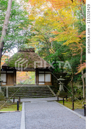 東山法然院、京都市左京區、三門門和秋葉 113328429