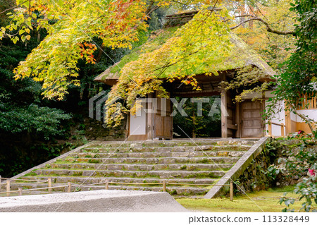 Kyoto City, Sakyo Ward, Higashiyama, Honen-in Temple, temple gate and autumn leaves 113328449