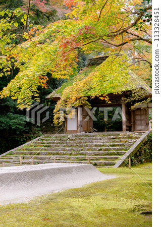 Kyoto City, Sakyo Ward, Higashiyama, Honen-in Temple, temple gate and autumn leaves 113328451