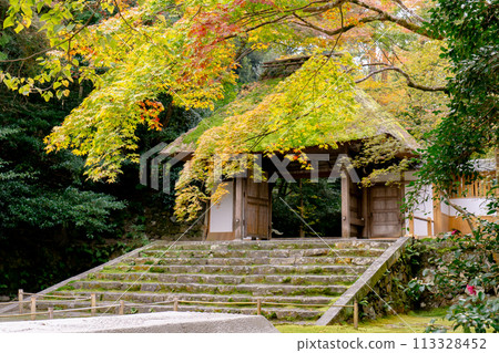 Kyoto City, Sakyo Ward, Higashiyama, Honen-in Temple, temple gate and autumn leaves Kyoto City, Sakyo Ward, Higashiyama, Honen-in Temple, temple gate and autumn leaves 113328452