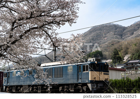 春季,岡山縣高橋市,2號貨運列車在博備線紀野山站等待出發 春季,岡山縣高橋市,2號貨運列車在博備線紀野山站等待出發 113328525