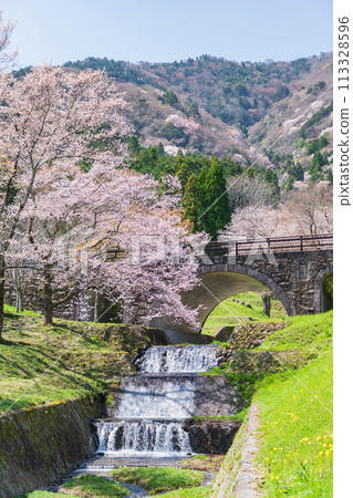 Spring in Kasumigaseki, cherry blossoms in full bloom (Ibi District, Gifu Prefecture) Spring in Kasumigaseki, cherry blossoms in full bloom (Ibi District, Gifu Prefecture) 113328596