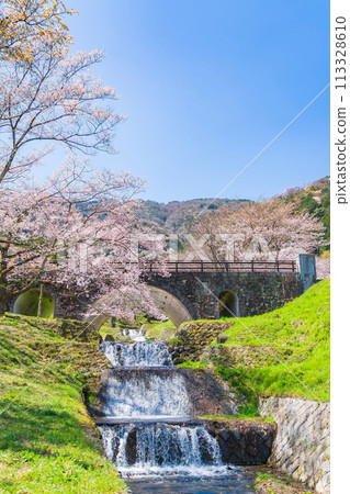 春天的春日峽,櫻花盛開(岐阜縣宜美郡) 春天的春日峽,櫻花盛開(岐阜縣宜美郡) 113328610