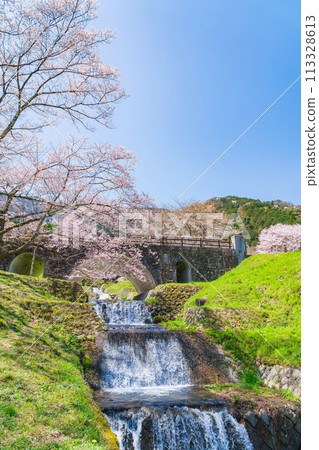 春天的春日峽,櫻花盛開(岐阜縣宜美郡) 春天的春日峽,櫻花盛開(岐阜縣宜美郡) 113328613
