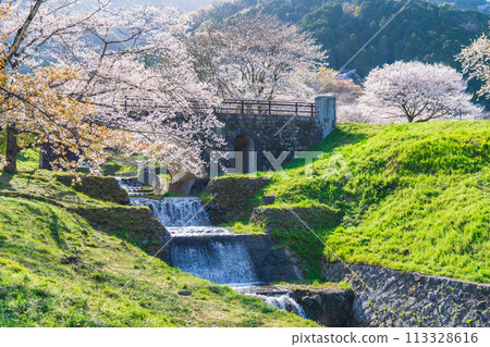 春天的春日峽,櫻花盛開(岐阜縣宜美郡) 春天的春日峽,櫻花盛開(岐阜縣宜美郡) 113328616