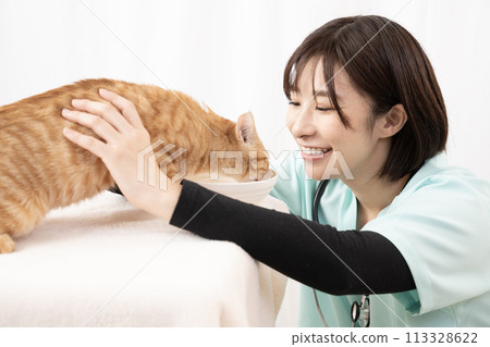 A female veterinarian examining a Chatora kitten A female veterinarian examining a Chatora kitten 113328622
