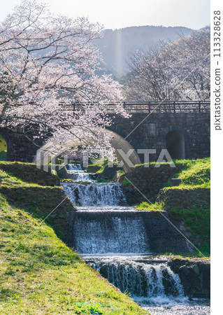 春天的春日峽,櫻花盛開(岐阜縣宜美郡) 春天的春日峽,櫻花盛開(岐阜縣宜美郡) 113328628