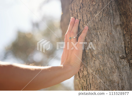 female hand gently touches bark of old olive tree. embracing fresh air and engaging in outdoor activities. Friluftsliv concept means spending as much time outdoors as possible female hand gently touches bark of old olive tree. embracing fresh air and engaging in outdoor activities. Friluftsliv concept means spending as much time outdoors as possible 113328977