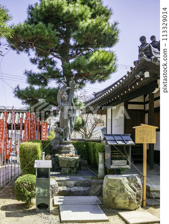 藤井寺供奉龍騎觀世音菩薩立像 大阪府藤井寺市 113329014