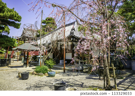 Fujiidera Daishido, Fujiidera City, Osaka Prefecture 113329033