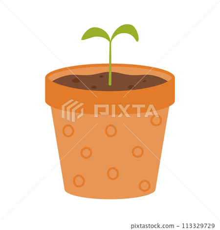 A small green sprout sprouts in a pot. Seedlings. Vector illustration on a white background. 113329729