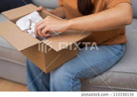 With a smile, a happy girl explores her delivered package, confirming her contentment with online shopping and home delivery. With a smile, a happy girl explores her delivered package, confirming her contentment with online shopping and home delivery. 113330116