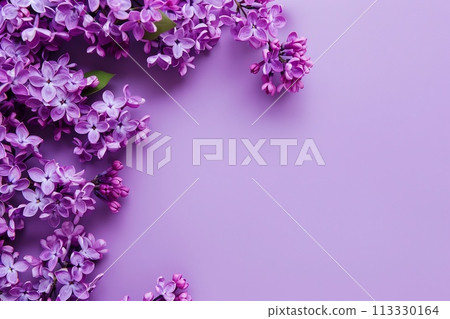 lilac flowers and empty space for your text 113330164