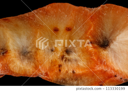 Macro stone Apophyllite mineral on black background 113330199