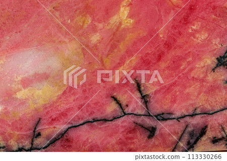 Macro stone Rhodonite mineral on white background Macro stone Rhodonite mineral on white background 113330266