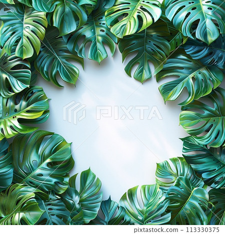 Tropical leaves background. Monstera leaves frame. Flat lay, top view. 113330375